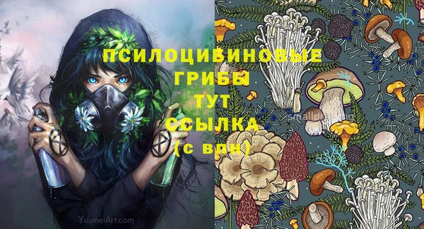 эйфоретик Аркадак