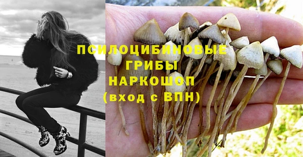 эйфоретик Аркадак