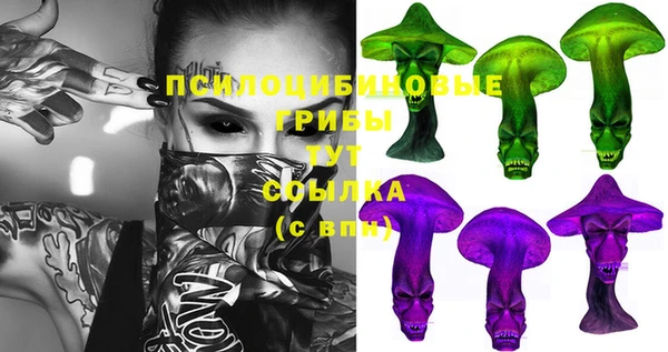 эйфоретик Аркадак
